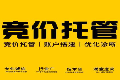 社交平台信息流广告推广的典型案例分析